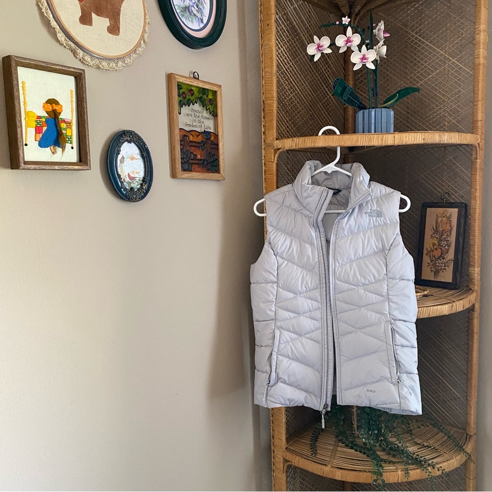 North face vest